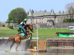 九游网页版官网-苏格兰橄榄球在欧洲赛事中的市场影响力提升，苏格兰有什么体育项目