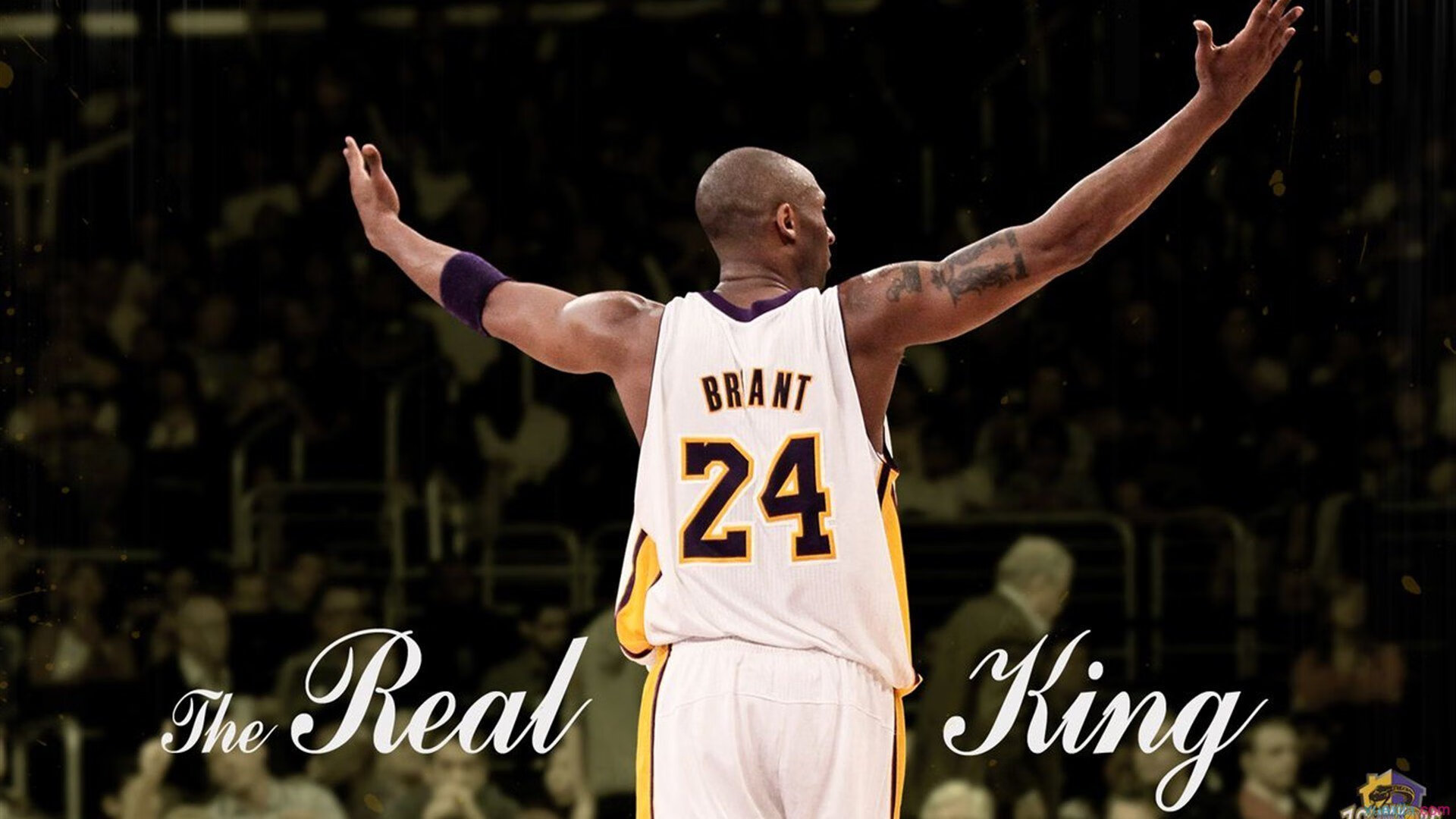 青训创新融合国际先进理念,打造具有中国特色的青少年足球体系